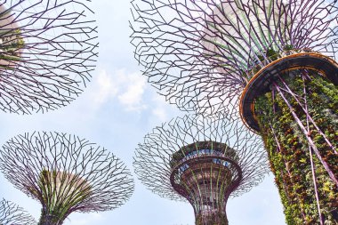 Singapur, Singapur: Mart 19 2019: Körfez bahçeleri, Singapur
