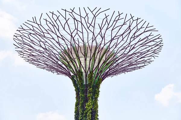 Singapur, Singapur: 19 de marzo de 2019: Jardines de la bahía, Singapur — Foto de Stock