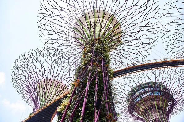 Singapur, Singapur: 19 de marzo de 2019: Jardines de la bahía, Singapur — Foto de Stock