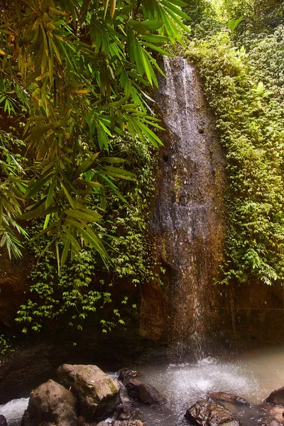 Small waterfall in a forest in Bali, Indonesia with a mini waterfall.