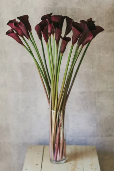 A bouquet of burgundy callas close up