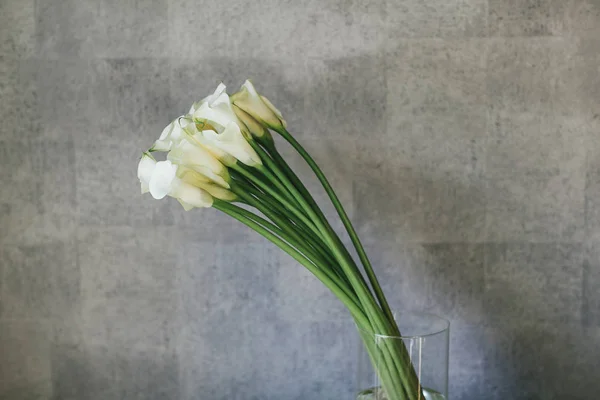 A bouquet of white callas close up