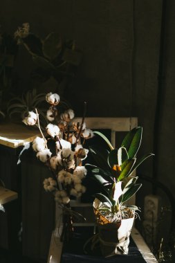 Pamuk çiçekleri ile güzel buket yakın