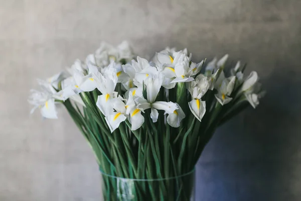 A bouquet of large white irises close up — Stock Photo, Image