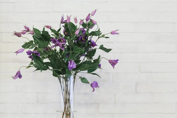 Buquê de flores lilás delicadas perto — Fotografia de Stock