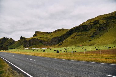 İzlanda 'nın inanılmaz manzaralarında güzel bir yol.