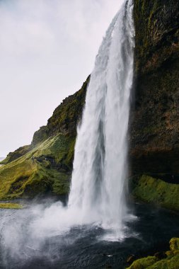Güneşli bir günde İzlanda Fantastik Seljalandsfoss şelale.