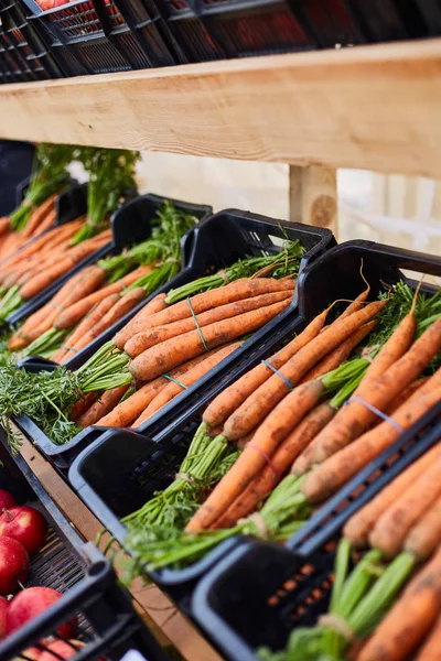 Fresh homegrown carrots, plant based food, local food, close up