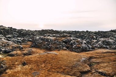 Büyülü yosunlu lav alanı
