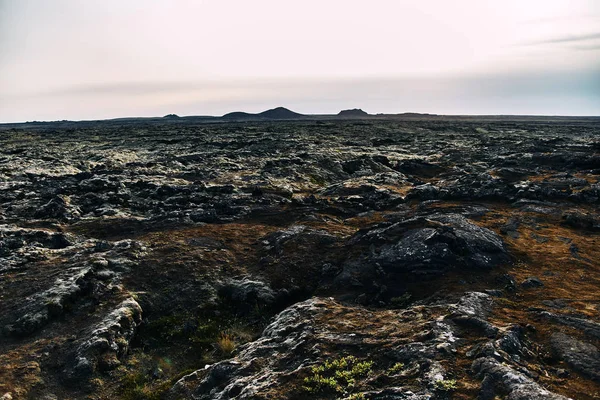 Magisch Mossy lavaveld — Stockfoto