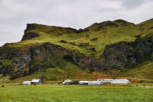 Volcanic mountains in Iceland. Farm in the field near the mountains. — Stock Photo, Image