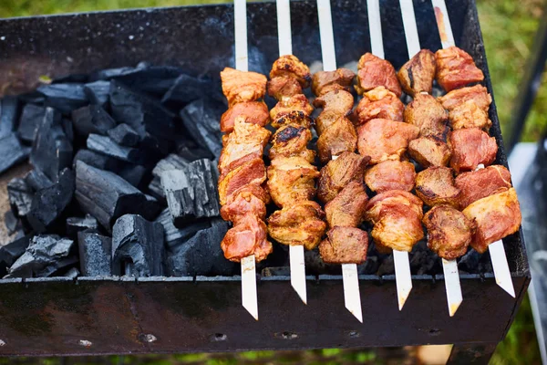 Shish kebab on skewers and hot coals with smoke — Stock Photo, Image