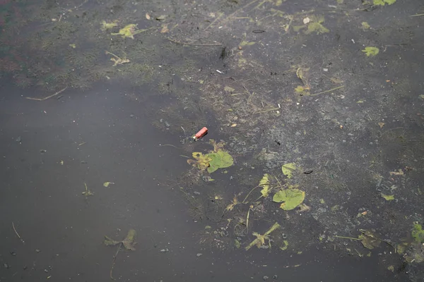 river polluted by human waste. A bottle in a river and a gasoline stain