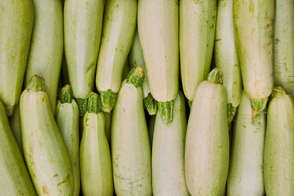 Green zucchini sold at a farmers market — Stock Photo, Image