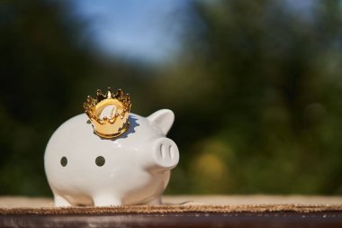 Bölünmüş bir masa üzerinde altın taç ile beyaz kumbara