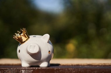 Bölünmüş bir masa üzerinde altın taç ile beyaz kumbara