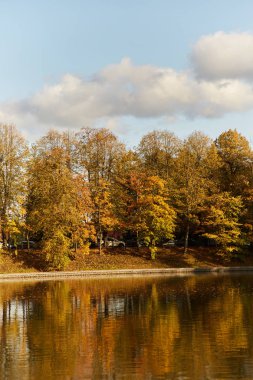 Güzel bir sonbahar parkı. Göl kenarındaki sonbahar parkı. 