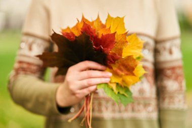Sonbahar yaprakları elinde. # Kız elinde renkli yapraklardan bir buket tutuyor #