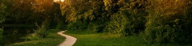 Bir patika ve sıra sıra eski ağaçlarla park et. Gün batımında park sokağı