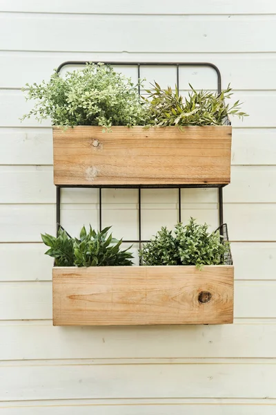 Decorative wooden boxes with flowers on a white wall close-up. — Stock Photo, Image