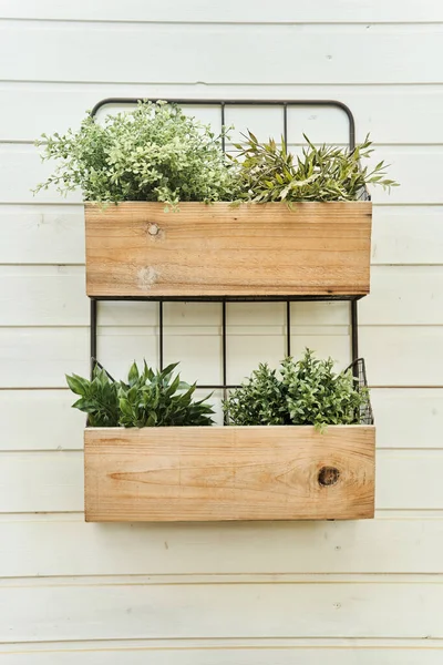 Cajas de madera decorativas con flores en un primer plano de pared blanca . —  Fotos de Stock