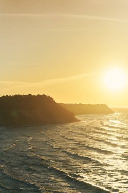 Kaliningrad Körfezi 'ndeki sahil. Svetlogorsk.