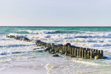 Baltık Denizi 'nde dalgalar. Zelenogradsk şehri, Kaliningrad bölgesi.