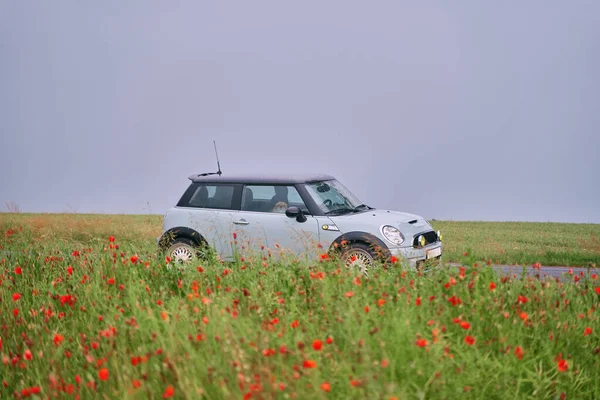 La voiture est dans le champ de pavot. Prairie avec de belles fleurs de pavot rouge vif au printemps — Photo