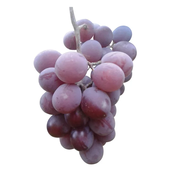 Realistic Grape Branch Vector Illustration — Stock Vector