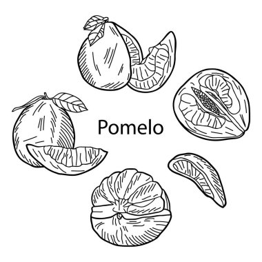 Tam bir şiir seti, kesme pomelo, yarımlar, kama ve yaprak.