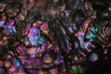 inci kabuk arka plan çok renkli sedefli dokusu mavi Lila yeşil sarı