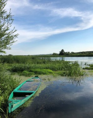 aşırı büyümüş bir nehir unutulmuş bir teknede birisi... birisi gelecek hatırlar ...