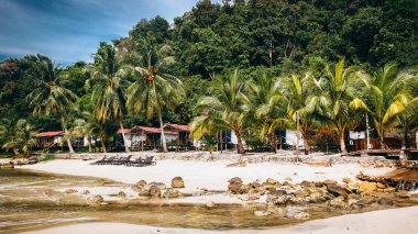 Hindistan cevizi ağaçlarının arasında tropik bir sahilde bungalovlar