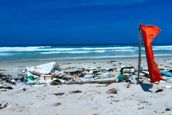 Пластикові Пляшки Інші Сміття Викинуті Піщане Узбережжя Сміття Морському Пляжі — стокове фото