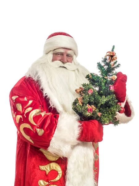 Deze Santa Claus Feliciteert Een Witte Achtergrond Met Kerstboom — Stockfoto