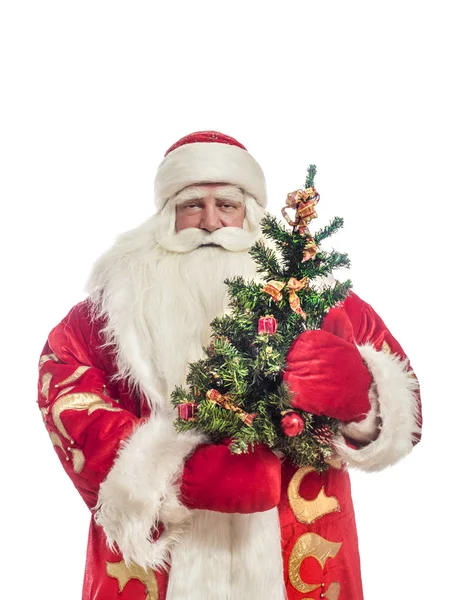 Deze Santa Claus Feliciteert Een Witte Achtergrond Met Kerstboom — Stockfoto
