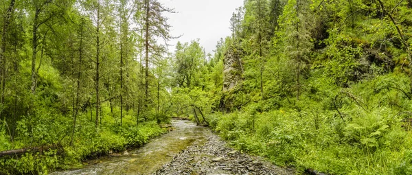 Panorama Het Schilderachtige Uitzicht Van Een Bergbeek Met Stenen Mooie — Stockfoto