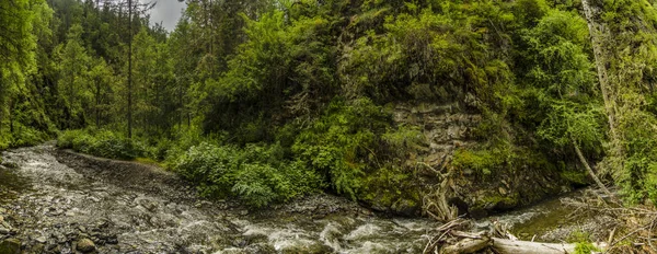 Panorama Taşlarla Güzel Vahşi Orman Doğa Görkemli Bir Dağ Dere — Stok fotoğraf