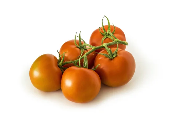 Όμορφες Κόκκινες Ντομάτες Ένα Κλάδο Βρίσκονται Απομονωμένες Λευκό Φόντο — Φωτογραφία Αρχείου