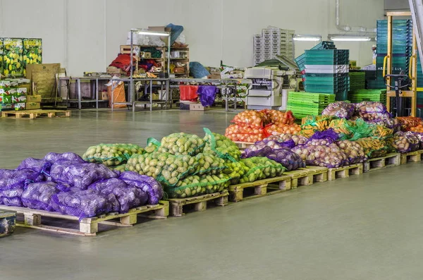 Büyük bir sebze dükkanı görünümünü. Üretim ve depolama sebze için güzel ve farklı atölye güzel ve görkemli görünümünü.