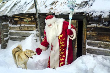 Komik Noel Baba açık havada besleme köpek