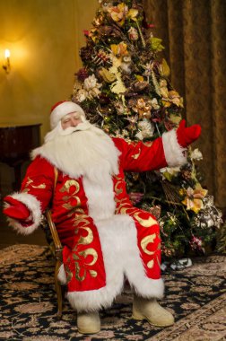 Komik ve görkemli Santa Claus bir zengin oturur ve iç Noel ağacı arka plan üzerinde kutladı