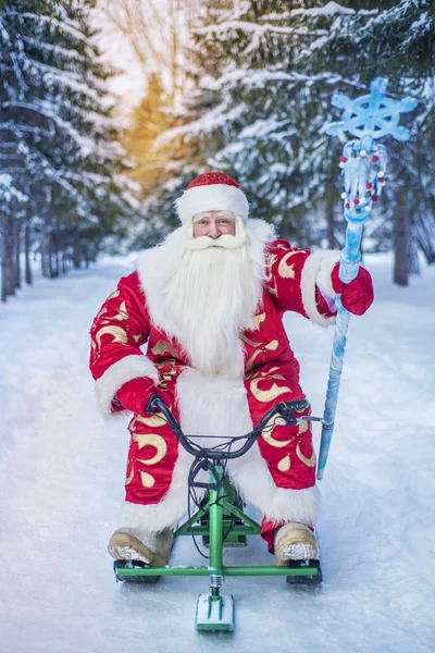 Drôle Joyeux Père Noël Promenades Dans Air Frais Dans Une — Photo