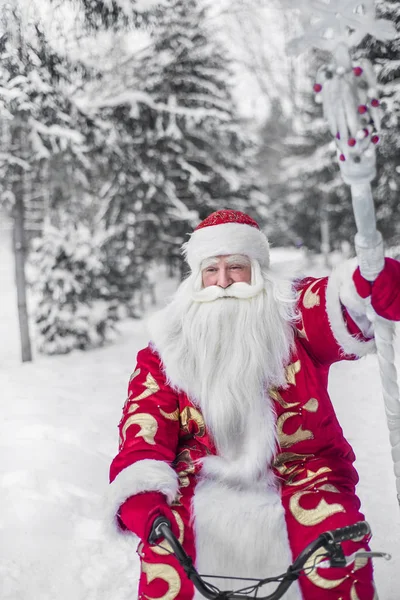 Roliga Och Glada Jultomten Rider Den Friska Luften Skog Och — Stockfoto