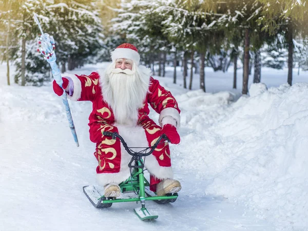 有趣和愉快的圣诞老人骑在新鲜的空气中的森林和新年快乐 — 图库照片