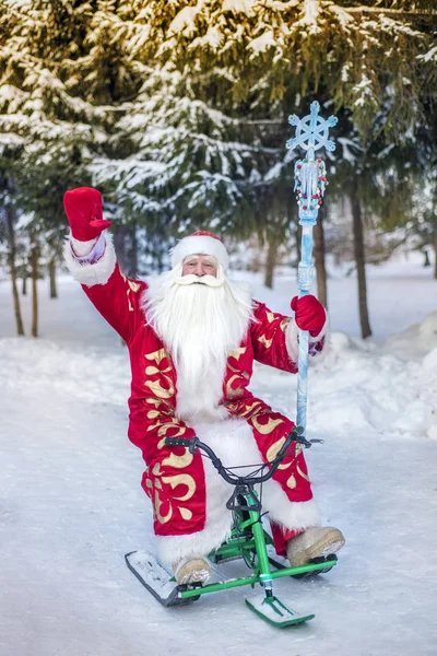 Zábavný Veselý Santa Claus Jezdí Čerstvém Vzduchu Lese Šťastný Nový — Stock fotografie