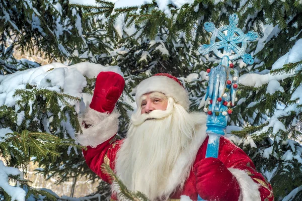 Весёлый Веселый Санта Клаус Свежем Воздухе Лесу Заснеженных Еловых Ветвях — стоковое фото