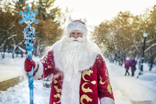 Zabawny Wesoły Święty Mikołaj Świeżym Powietrzu Tle Ośnieżone Jodły Oddziałów — Zdjęcie stockowe