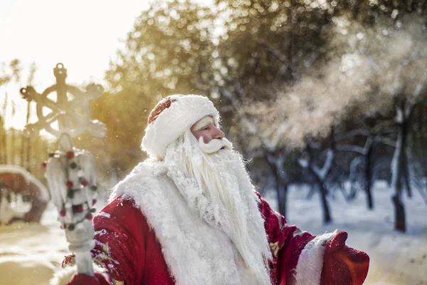 Vtipné Veselé Santa Claus Čerstvém Vzduchu Pozadí Zasněžené Jedle Poboček — Stock fotografie