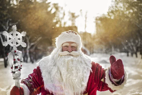 Komik Neşeli Noel Baba Karla Kaplı Çam Dalları Mutlu Yeni — Stok fotoğraf